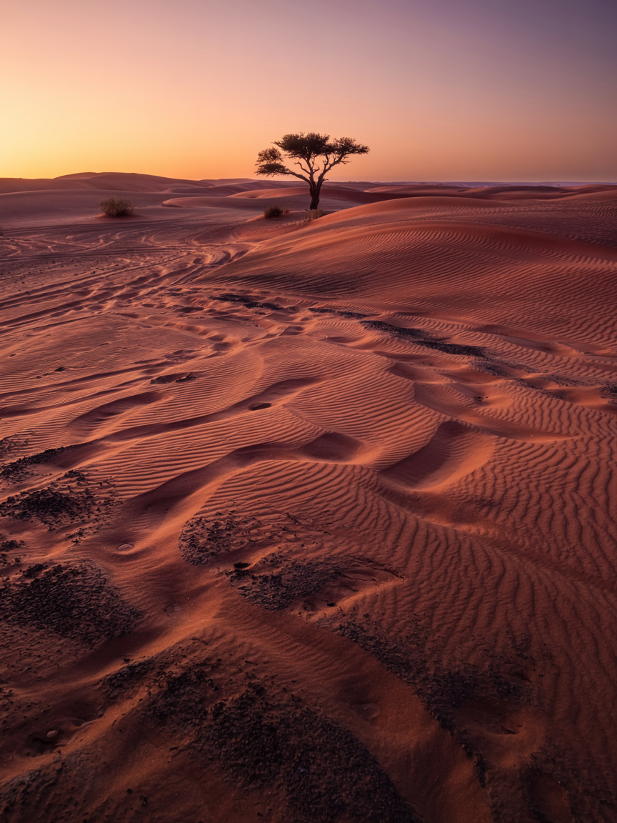 Vast golden dunes of the Sahara Desert near Merzou